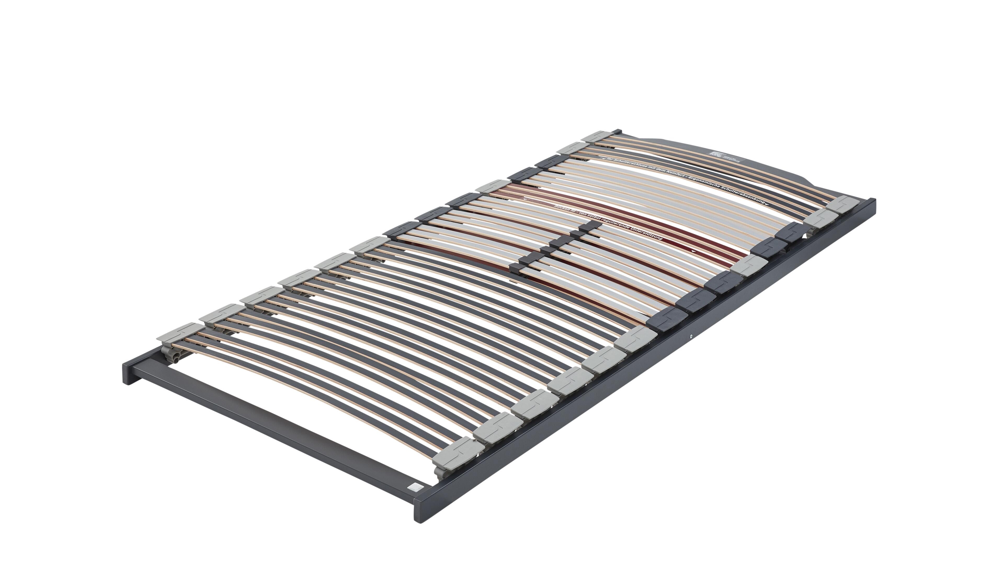 Interliving Lattenrost Serie 1943 Interliving Lattenrost Serie 1943
